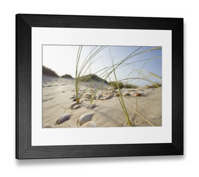 Framed Print : Beach near Conil de la Frontera, Costa de la Luz, Andalusia, Spain, Europe Framed Print : Beach near Conil de la Frontera, Costa de la Luz, Andalusia, Spain, Europe