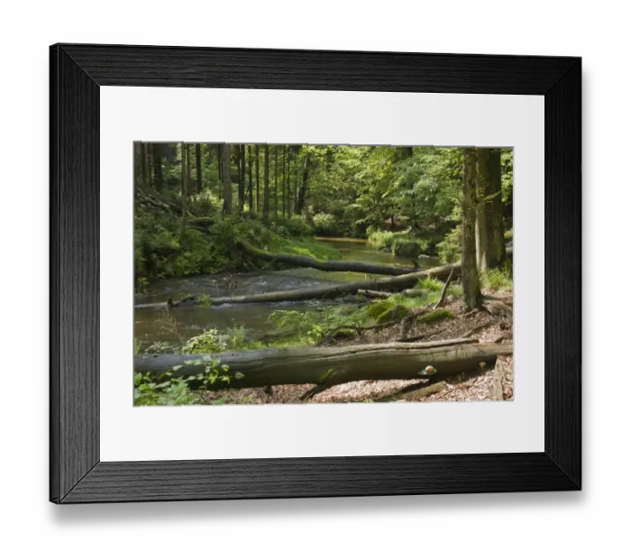 Framed Print : Kirnitzsch river, Kirnitzschtal valley, Saxon Switzerland, Elbsandsteingebirge Elbe Sandstone Mountains, Saxony, Germany, Europe Framed Print : Kirnitzsch river, Kirnitzschtal valley, Saxon Switzerland, Elbsandsteingebirge Elbe Sandstone Mountains, Saxony, Germany, Europe