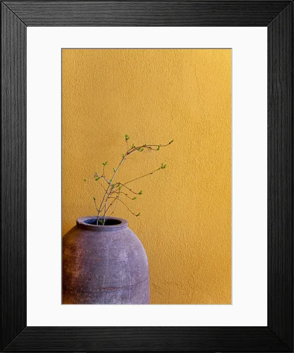 Framed Print : Still life with a terracotta amphora and a branch in front of a yellow wall, Turkey Framed Print : Still life with a terracotta amphora and a branch in front of a yellow wall, Turkey