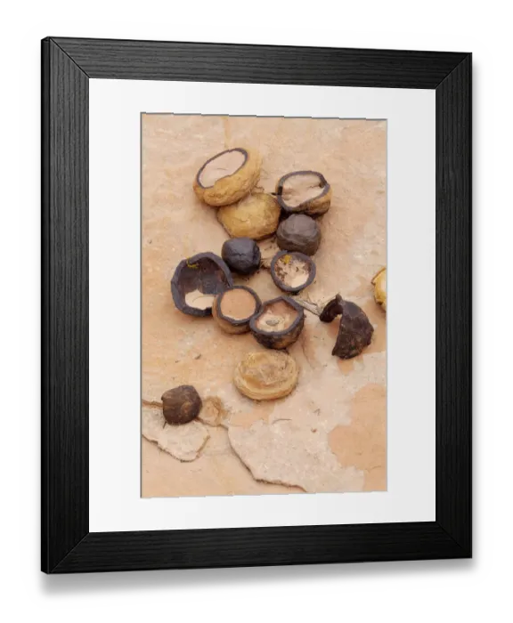 Framed Print : Moqui Marbles, Utah, USA, America Framed Print : Moqui Marbles, Utah, USA, America