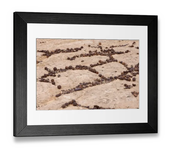Framed Print : Moqui Marbles, Utah, USA, America Framed Print : Moqui Marbles, Utah, USA, America
