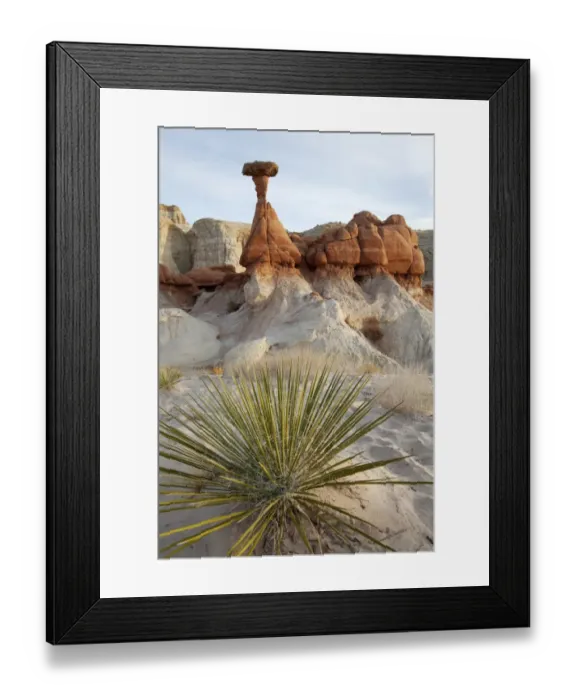 Framed Print : The Rimrock, landscape, Utah, USA, America