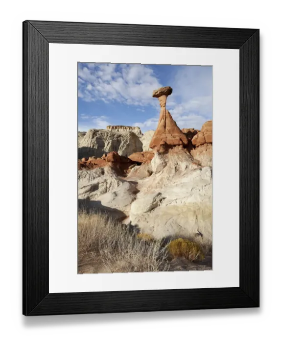 Framed Print : The Rimrock, landscape, Utah, USA, America