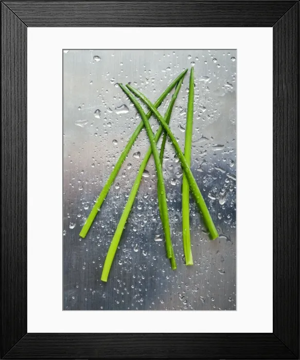 Framed Print : Chives Framed Print : Chives