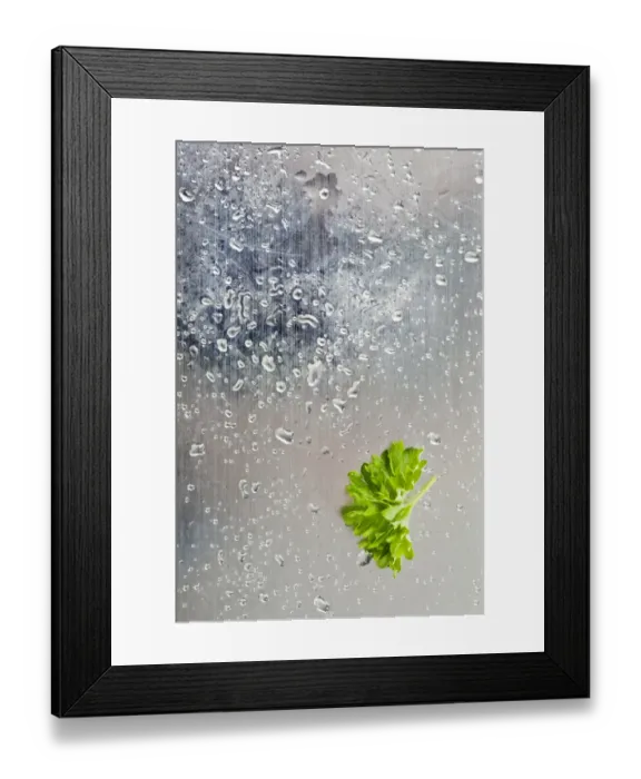 Framed Print : Parsley