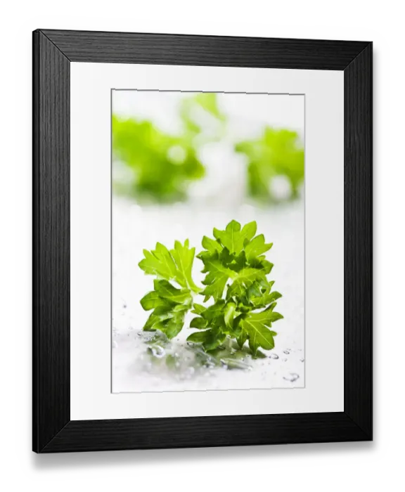 Framed Print : Parsley Framed Print : Parsley