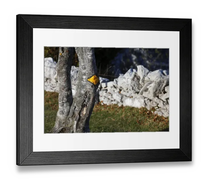 Framed Print : Trail marker on a tree next to a drywall, Creux du Van, Boudry, Canton NeuchAzAtel, Switzerland, Europe Framed Print : Trail marker on a tree next to a drywall, Creux du Van, Boudry, Canton NeuchAzAtel, Switzerland, Europe