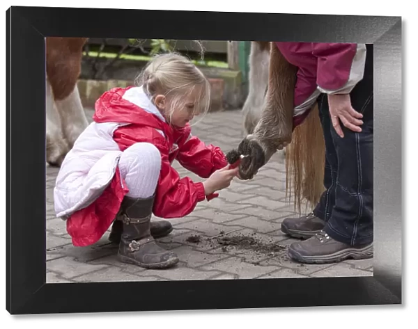 Young girl cleaning the hooves of a pony