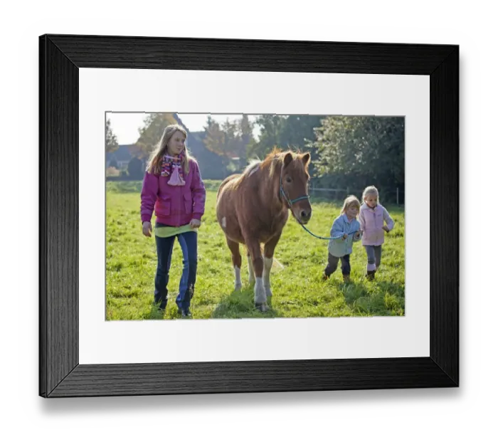 Framed Print : Young girls walking with a pony Framed Print : Young girls walking with a pony