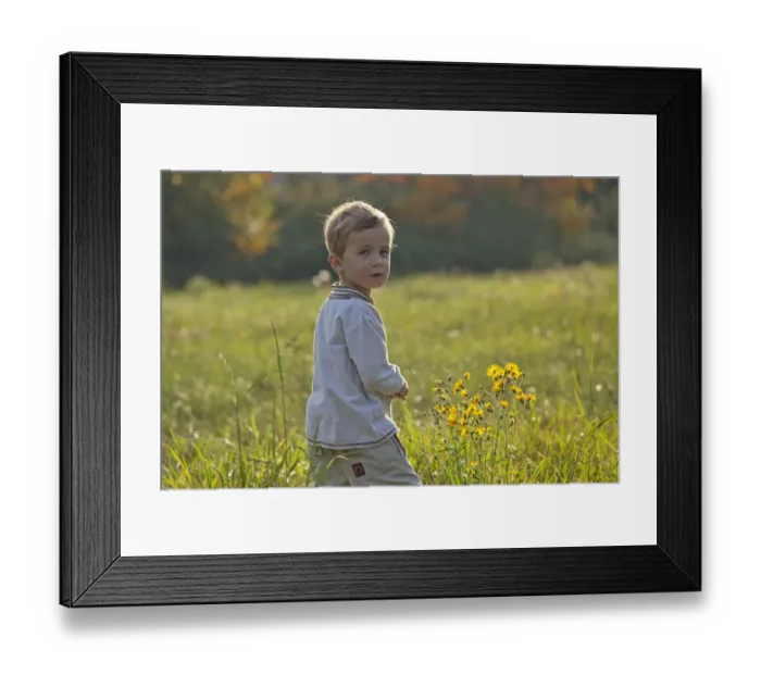 Framed Print : Little boy in a meadow Framed Print : Little boy in a meadow