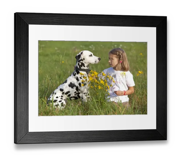 Framed Print : Little girl with Dalmatian in a meadow Framed Print : Little girl with Dalmatian in a meadow