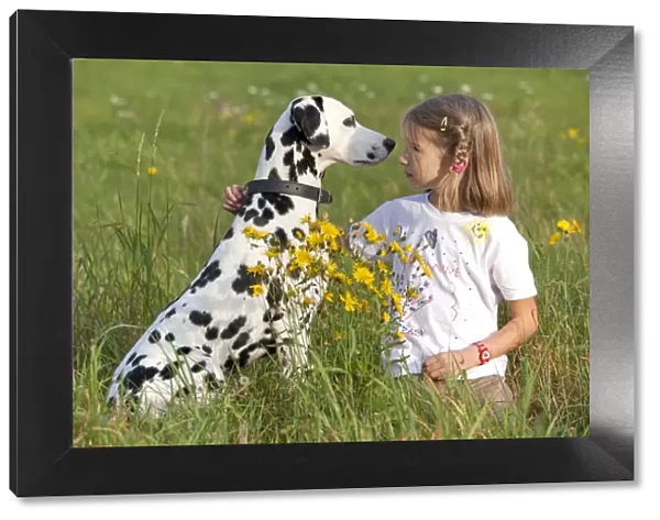 Little girl with Dalmatian in a meadow