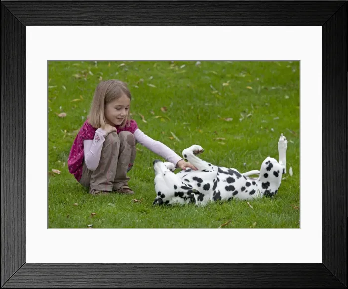 Framed Print : Girl with Dalmatian Framed Print : Girl with Dalmatian