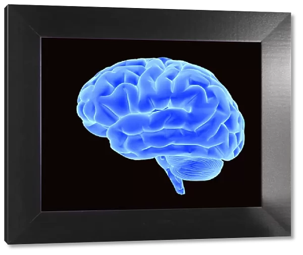 Bright blue brain, 3D illustration
