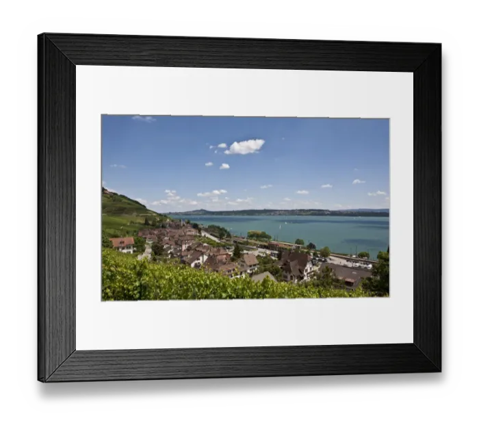 Framed Print : View over the vineyards on Twann village, Lake Bieler See, Canton Bern, Switzerland, Europe Framed Print : View over the vineyards on Twann village, Lake Bieler See, Canton Bern, Switzerland, Europe