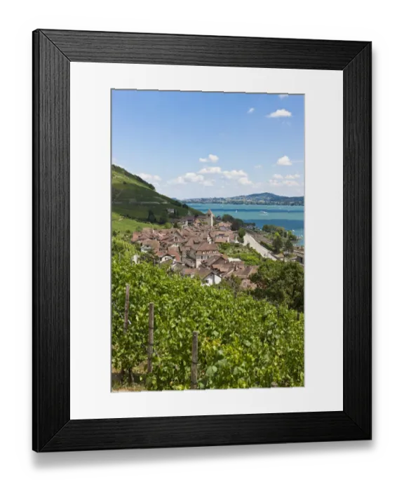 Framed Print : View over the vineyards on Twann village, Lake Bieler See, Canton Bern, Switzerland, Europe Framed Print : View over the vineyards on Twann village, Lake Bieler See, Canton Bern, Switzerland, Europe