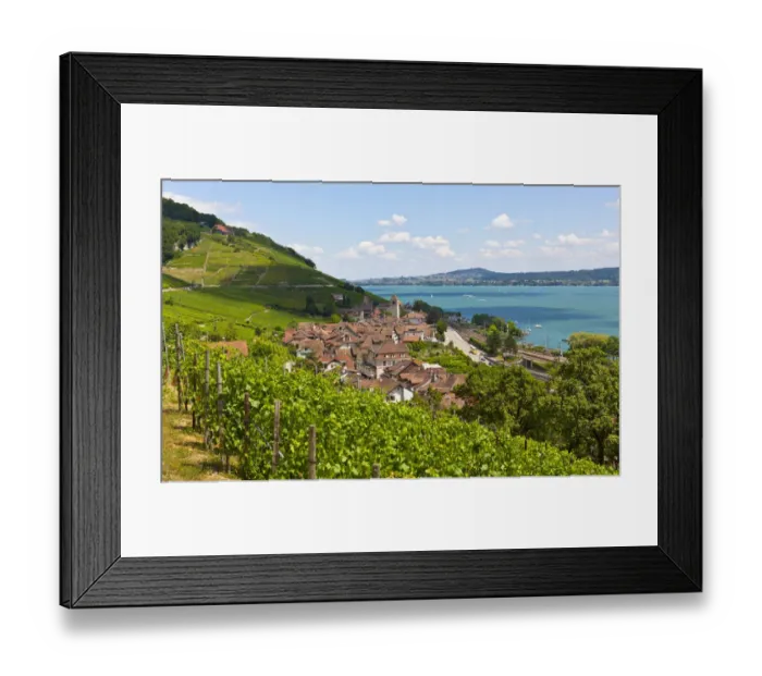 Framed Print : View over the vineyards on Twann village, Lake Bieler See, Canton Bern, Switzerland, Europe Framed Print : View over the vineyards on Twann village, Lake Bieler See, Canton Bern, Switzerland, Europe