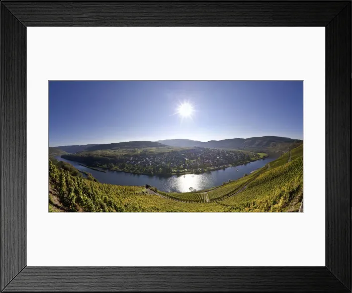 Framed Print : View of the vineyards at Puenderich, Landkreis Cochem-Zell district, Rhineland-Palatinate, Germany, Europe Framed Print : View of the vineyards at Puenderich, Landkreis Cochem-Zell district, Rhineland-Palatinate, Germany, Europe