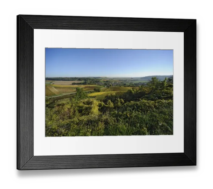 Framed Print : Vineyards near Bar-sur-Aube, Champagne, France, Europe Framed Print : Vineyards near Bar-sur-Aube, Champagne, France, Europe