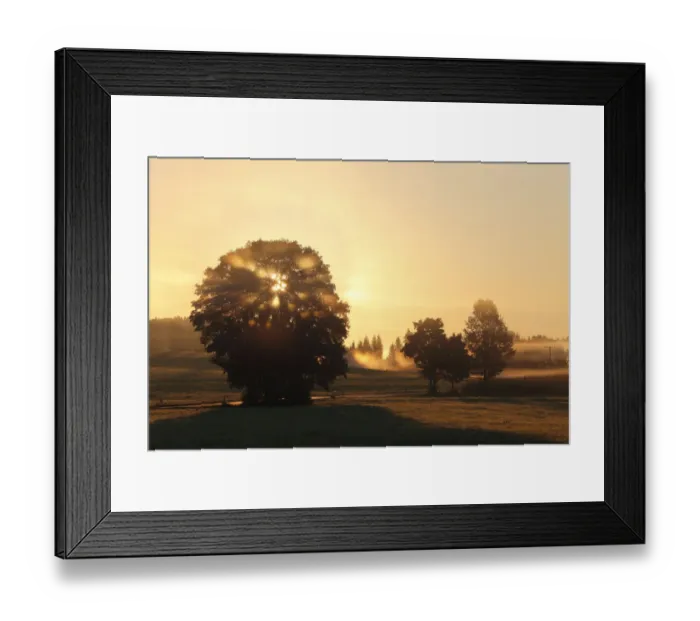 Framed Print : Morning at Dietramszell, Upper Bavaria, Bavaria, Germany, Europe Framed Print : Morning at Dietramszell, Upper Bavaria, Bavaria, Germany, Europe