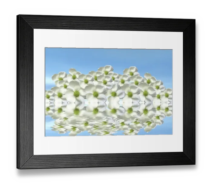 Framed Print : Flowers on the water with mirroring, 3D graphics Framed Print : Flowers on the water with mirroring, 3D graphics