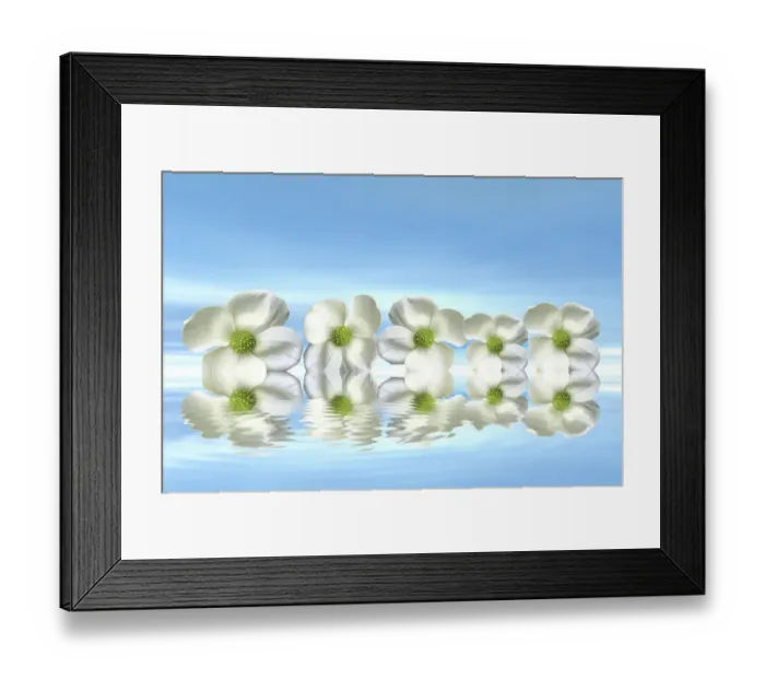 Framed Print : Flowers on the water with mirroring, 3D graphics Framed Print : Flowers on the water with mirroring, 3D graphics