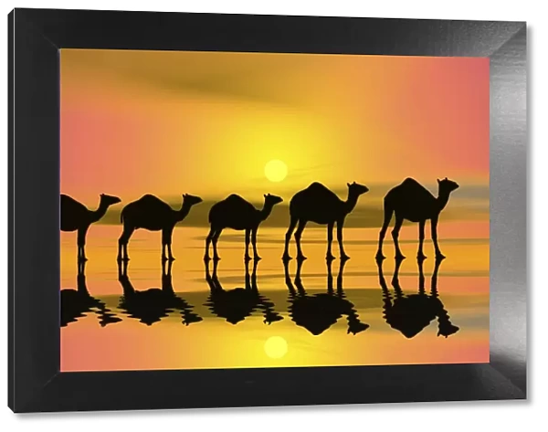 Camel caravan at sunset, silhouette, 3D graphics