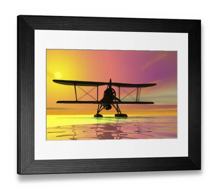 Framed Print : Seaplane landing, silhouette, 3D graphics Framed Print : Seaplane landing, silhouette, 3D graphics