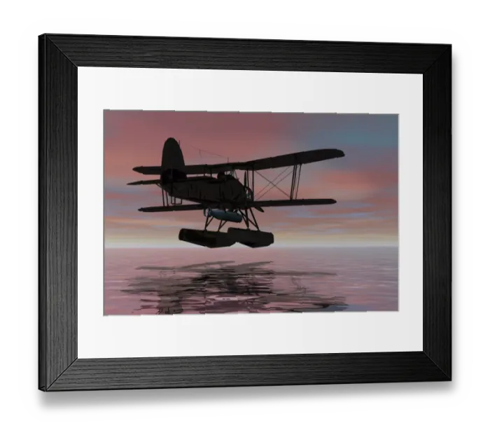 Framed Print : Seaplane landing, silhouette, 3D graphics