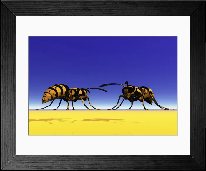 Framed Print : Two wasps, 3D graphics Framed Print : Two wasps, 3D graphics