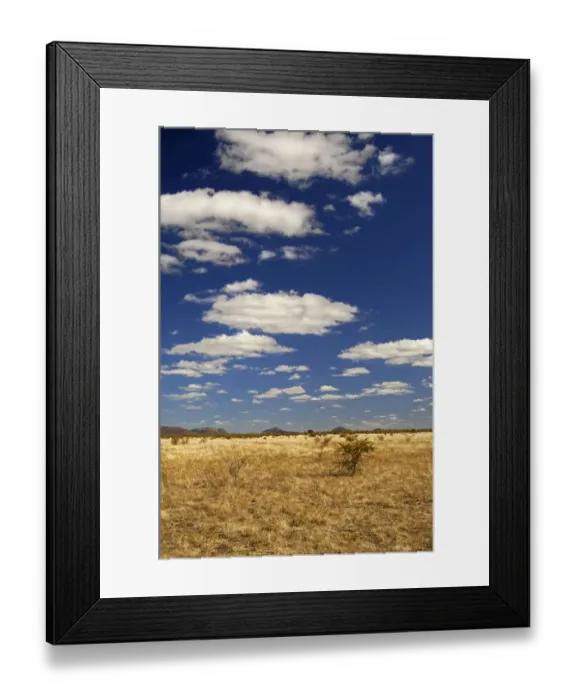 Framed Print : African savannah landscape, Madikwe Game Reserve, South Africa, Africa Framed Print : African savannah landscape, Madikwe Game Reserve, South Africa, Africa