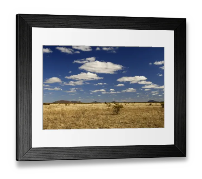 Framed Print : African savannah landscape, Madikwe Game Reserve, South Africa, Africa Framed Print : African savannah landscape, Madikwe Game Reserve, South Africa, Africa