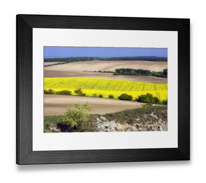Framed Print : Spring landscape in TabulovAzAa, RůaAYovAzAoe vrch a KočičAzAi kAzAamen national sanctuary, PAzAalava protected landscape area, Břeclav district, South Moravia region, Czech Republic, Europe Framed Print : Spring landscape in TabulovAzAa, RůaAYovAzAoe vrch a KočičAzAi kAzAamen national sanctuary, PAzAalava protected landscape area, Břeclav district, South Moravia region, Czech Republic, Europe