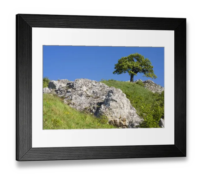 Framed Print : Landscape in DěvAzAin-Kotel-Soutěska national sanctuary, PAzAalava protected landscape area, Břeclav district, South Moravia region, Czech Republic, Europe Framed Print : Landscape in DěvAzAin-Kotel-Soutěska national sanctuary, PAzAalava protected landscape area, Břeclav district, South Moravia region, Czech Republic, Europe