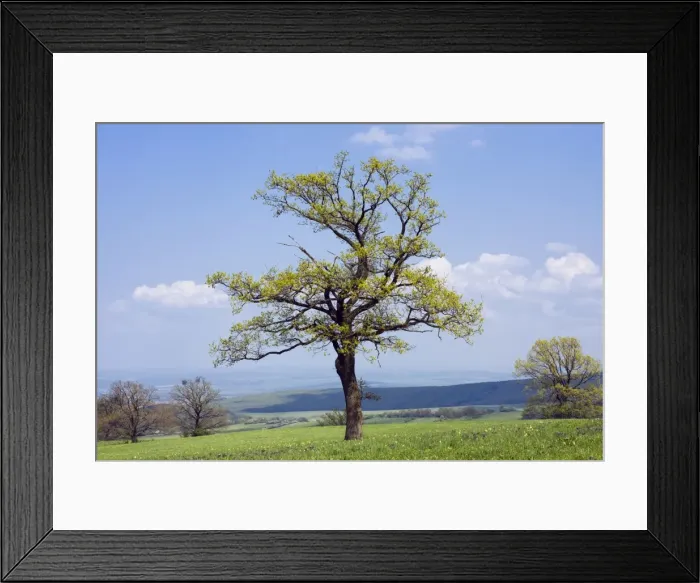 Framed Print : Spring landscape in BAzurovAzAa Natural Monument, BAzAilAzA Karpaty protected landscape area, White Carpathians Mountains, HodonAzAin district, South Moravia region, Czech Republic, Europe Framed Print : Spring landscape in BAzurovAzAa Natural Monument, BAzAilAzA Karpaty protected landscape area, White Carpathians Mountains, HodonAzAin district, South Moravia region, Czech Republic, Europe