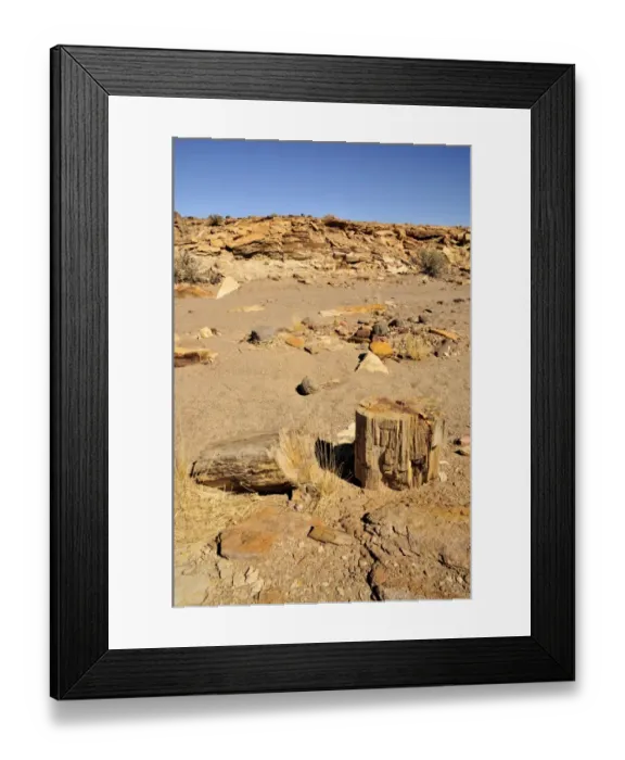Framed Print : Petrified trees, Mik mountains, Damaraland, Namibia, Africa Framed Print : Petrified trees, Mik mountains, Damaraland, Namibia, Africa