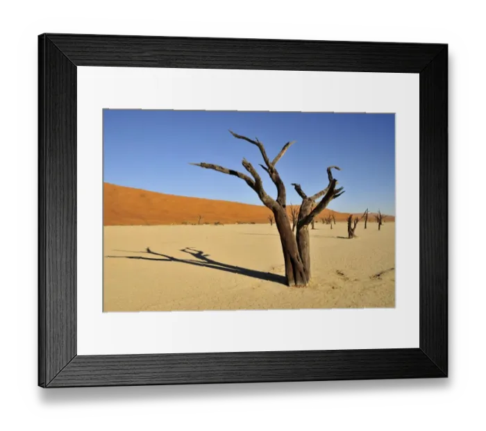 Framed Print : Dead trees in the Dead Vlei, Deadvlei clay pan in the morning light, Namib Desert, Namib-Naukluft National Park, Namibia, Africa Framed Print : Dead trees in the Dead Vlei, Deadvlei clay pan in the morning light, Namib Desert, Namib-Naukluft National Park, Namibia, Africa