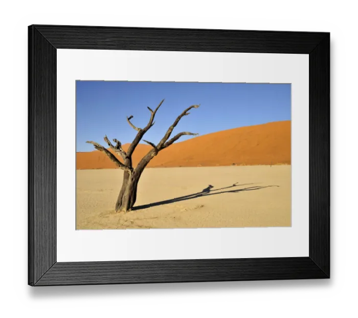 Framed Print : Dead trees in the Dead Vlei, Deadvlei clay pan in the morning light, Namib Desert, Namib-Naukluft National Park, Namibia, Africa Framed Print : Dead trees in the Dead Vlei, Deadvlei clay pan in the morning light, Namib Desert, Namib-Naukluft National Park, Namibia, Africa