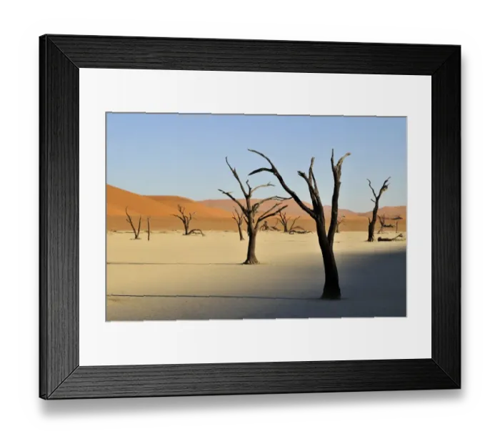 Framed Print : Dead trees in the Dead Vlei, Deadvlei clay pan in the morning light, Namib Desert, Namib-Naukluft National Park, Namibia, Africa