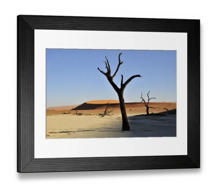 Framed Print : Dead trees in the Dead Vlei, Deadvlei clay pan in the morning light, Namib Desert, Namib-Naukluft National Park, Namibia, Africa Framed Print : Dead trees in the Dead Vlei, Deadvlei clay pan in the morning light, Namib Desert, Namib-Naukluft National Park, Namibia, Africa