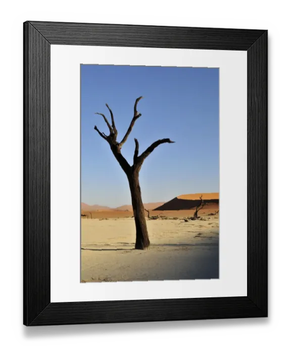 Framed Print : Dead tree in the Dead Vlei, Deadvlei clay pan in the morning light, Namib Desert, Namib-Naukluft National Park, Namibia, Africa Framed Print : Dead tree in the Dead Vlei, Deadvlei clay pan in the morning light, Namib Desert, Namib-Naukluft National Park, Namibia, Africa