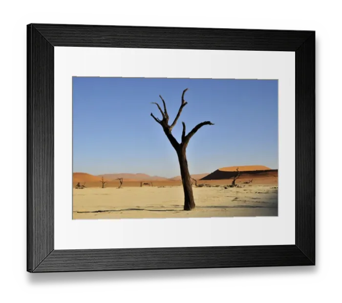 Framed Print : Dead tree in the Dead Vlei, Deadvlei clay pan in the morning light, Namib Desert, Namib-Naukluft National Park, Namibia, Africa