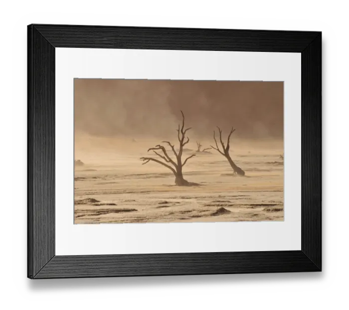 Framed Print : Dead trees in the Dead Vlei, Deadvlei clay pan during a sandstorm, Namib Desert, Namib-Naukluft National Park, Namibia, Africa