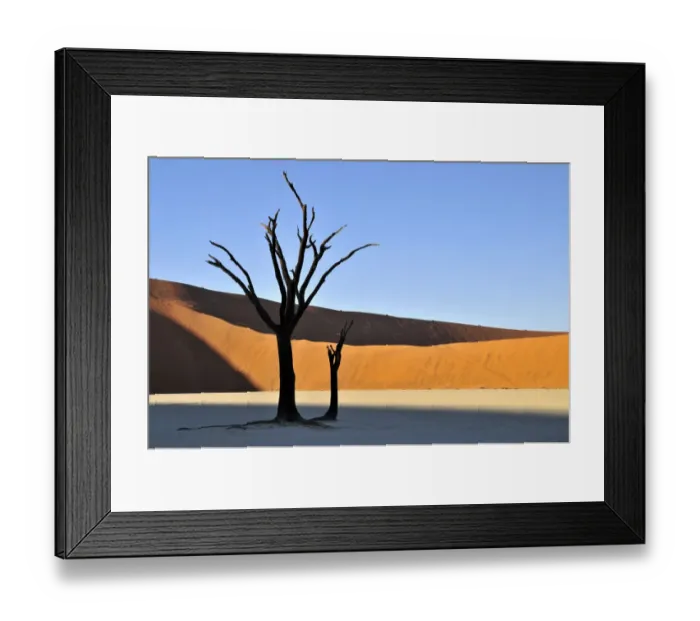 Framed Print : Dead tree in the Dead Vlei, Deadvlei clay pan in the morning light, Namib Desert, Namib-Naukluft National Park, Namibia, Africa Framed Print : Dead tree in the Dead Vlei, Deadvlei clay pan in the morning light, Namib Desert, Namib-Naukluft National Park, Namibia, Africa