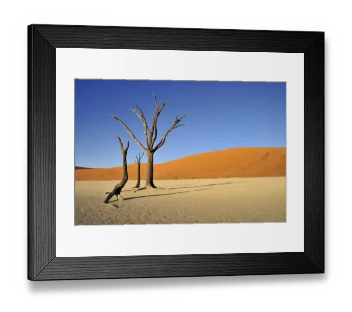 Framed Print : Dead trees in the Dead Vlei, Deadvlei clay pan in the morning light, Namib Desert, Namib-Naukluft National Park, Namibia, Africa Framed Print : Dead trees in the Dead Vlei, Deadvlei clay pan in the morning light, Namib Desert, Namib-Naukluft National Park, Namibia, Africa