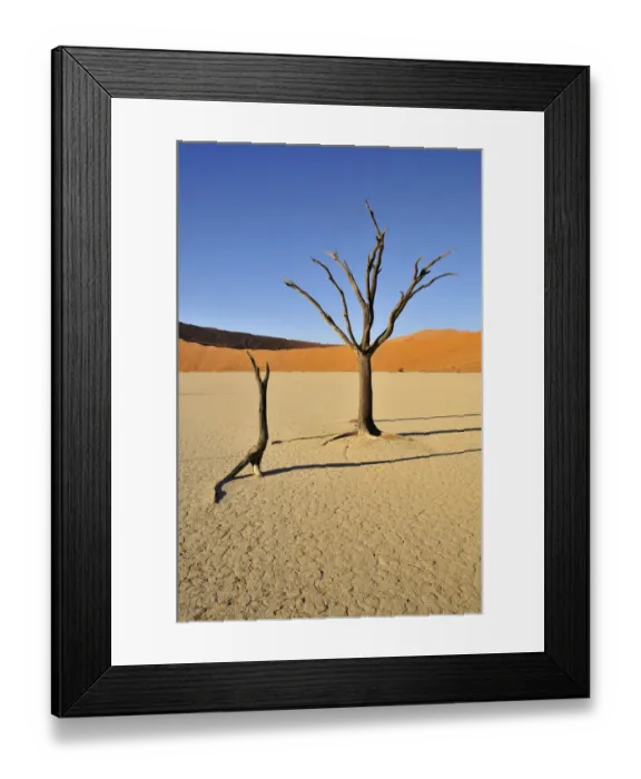 Framed Print : Dead trees in the Dead Vlei, Deadvlei clay pan in the morning light, Namib Desert, Namib-Naukluft National Park, Namibia, Africa Framed Print : Dead trees in the Dead Vlei, Deadvlei clay pan in the morning light, Namib Desert, Namib-Naukluft National Park, Namibia, Africa