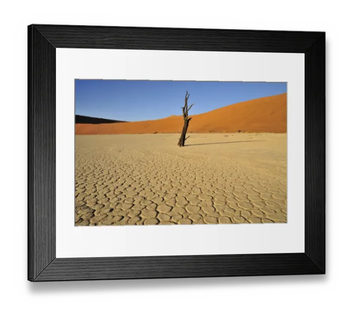 Framed Print : Dead tree in the Dead Vlei, Deadvlei clay pan in the morning light, Namib Desert, Namib-Naukluft National Park, Namibia, Africa