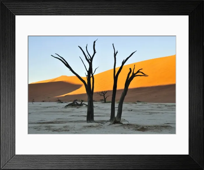 Framed Print : Dead trees in Deadvlei in the morning light, Namib Desert, Namib Naukluft Park, Namibia, Africa