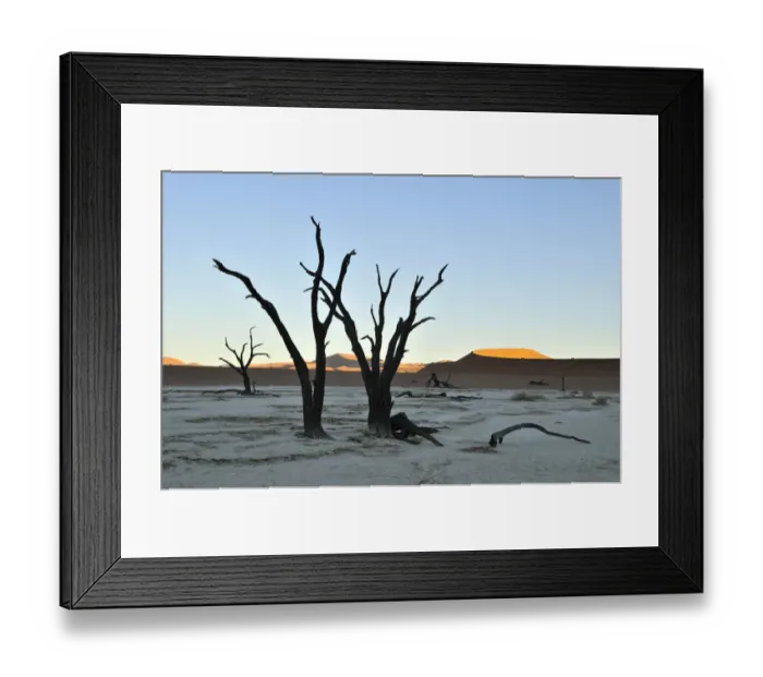 Framed Print : Dead trees in Deadvlei in the morning light, Namib Desert, Namib Naukluft Park, Namibia, Africa Framed Print : Dead trees in Deadvlei in the morning light, Namib Desert, Namib Naukluft Park, Namibia, Africa
