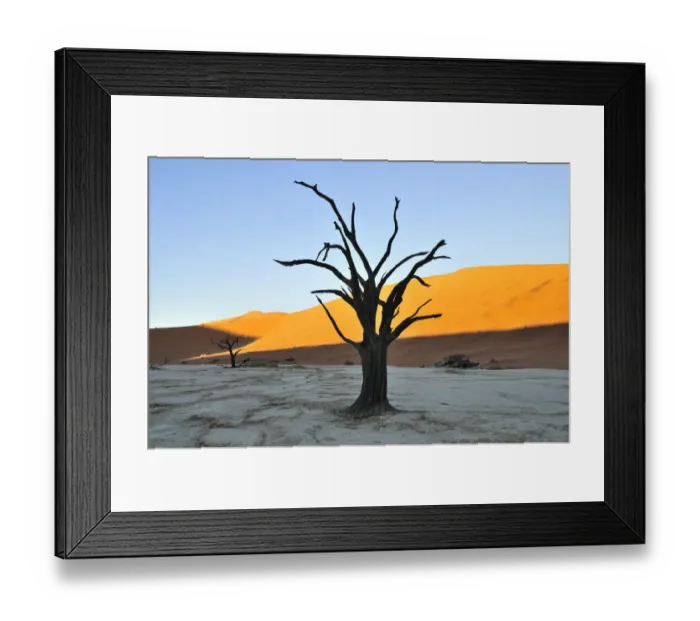 Framed Print : Dead tree in Deadvlei in the morning light, Namib Desert, Namib Naukluft Park, Namibia, Africa Framed Print : Dead tree in Deadvlei in the morning light, Namib Desert, Namib Naukluft Park, Namibia, Africa